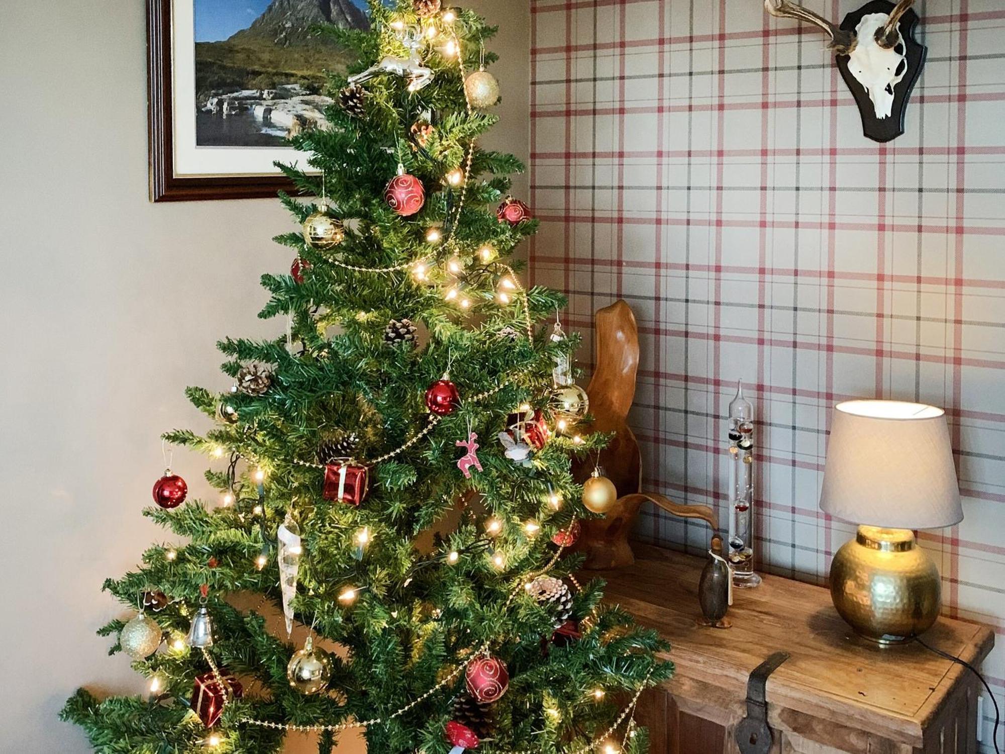 Villa Ardross Comrie Esterno foto