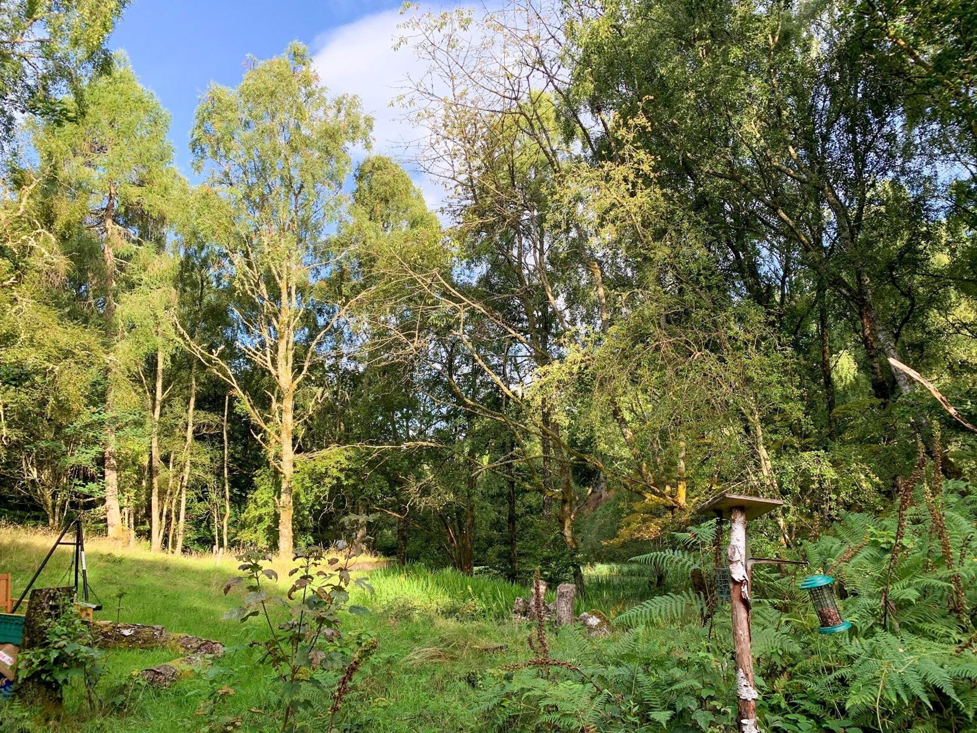 Villa Ardross Comrie Esterno foto